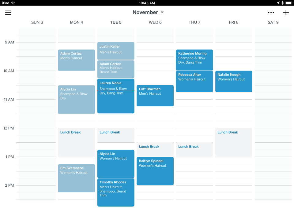 screenshot of Square Appointments